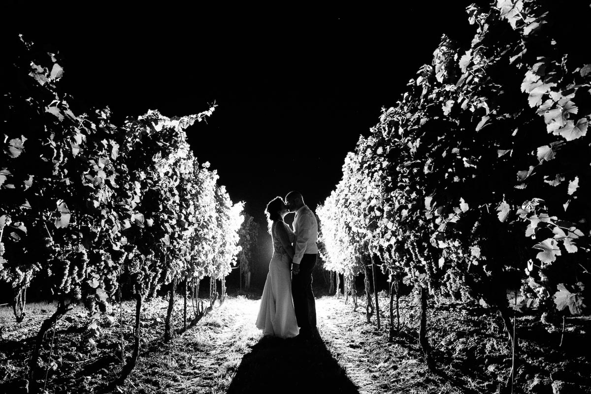 spirits-intrigued-photography-vineyard-bride-swish-list-honsberger-estates-winery-wedding-46.jpg