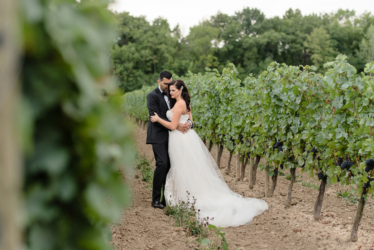 mango-studios-vineyard-bride-swish-list-chateau-des-charmes-niagara-on-the-lake-wedding-6.jpg