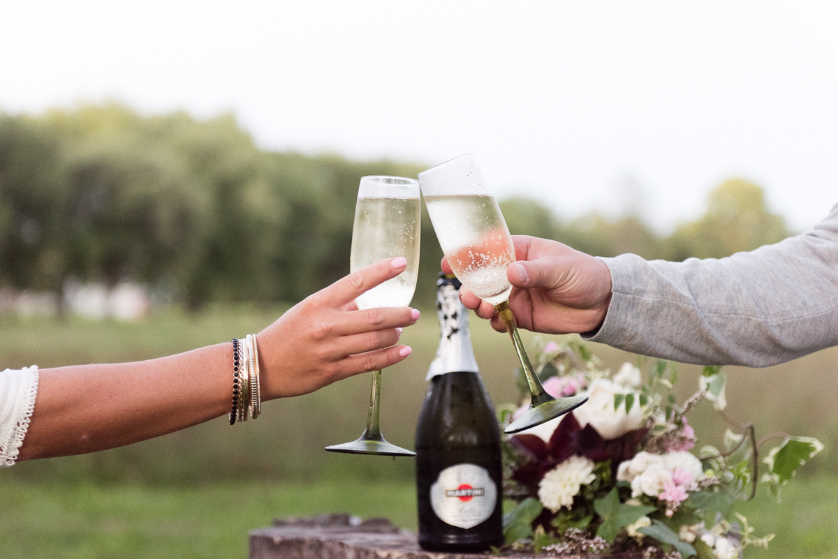 love-always-photography-vineyard-bride-swish-list-small-talk-winery-niagara-on-the-lake-engagement-37.jpg