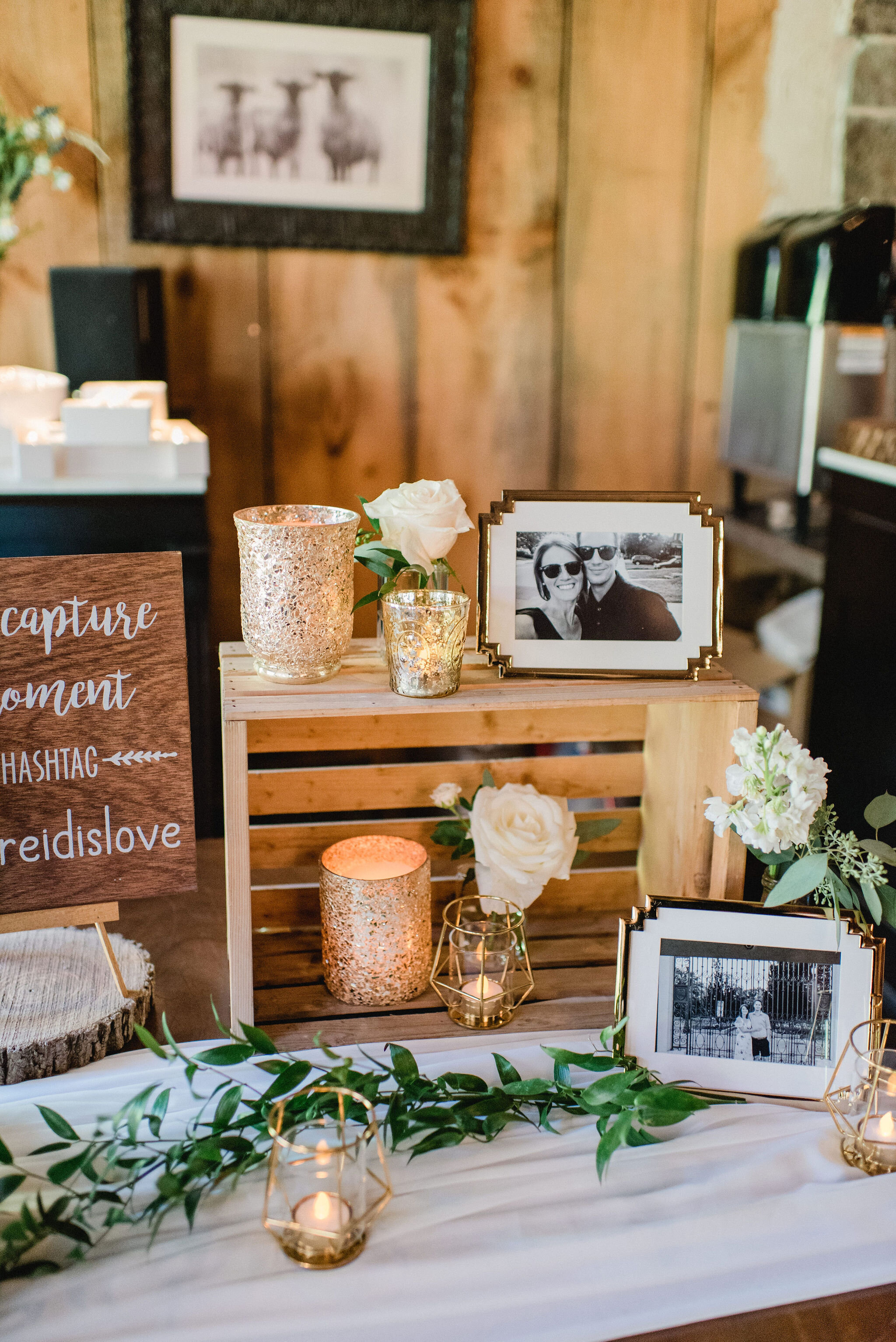 Honsberger-Estate-Wedding-Summer-Winery-Vineyard-Bride-Niagara-on-the-Lake-photos-by-Jacqueline-James-Photography-0022.JPG