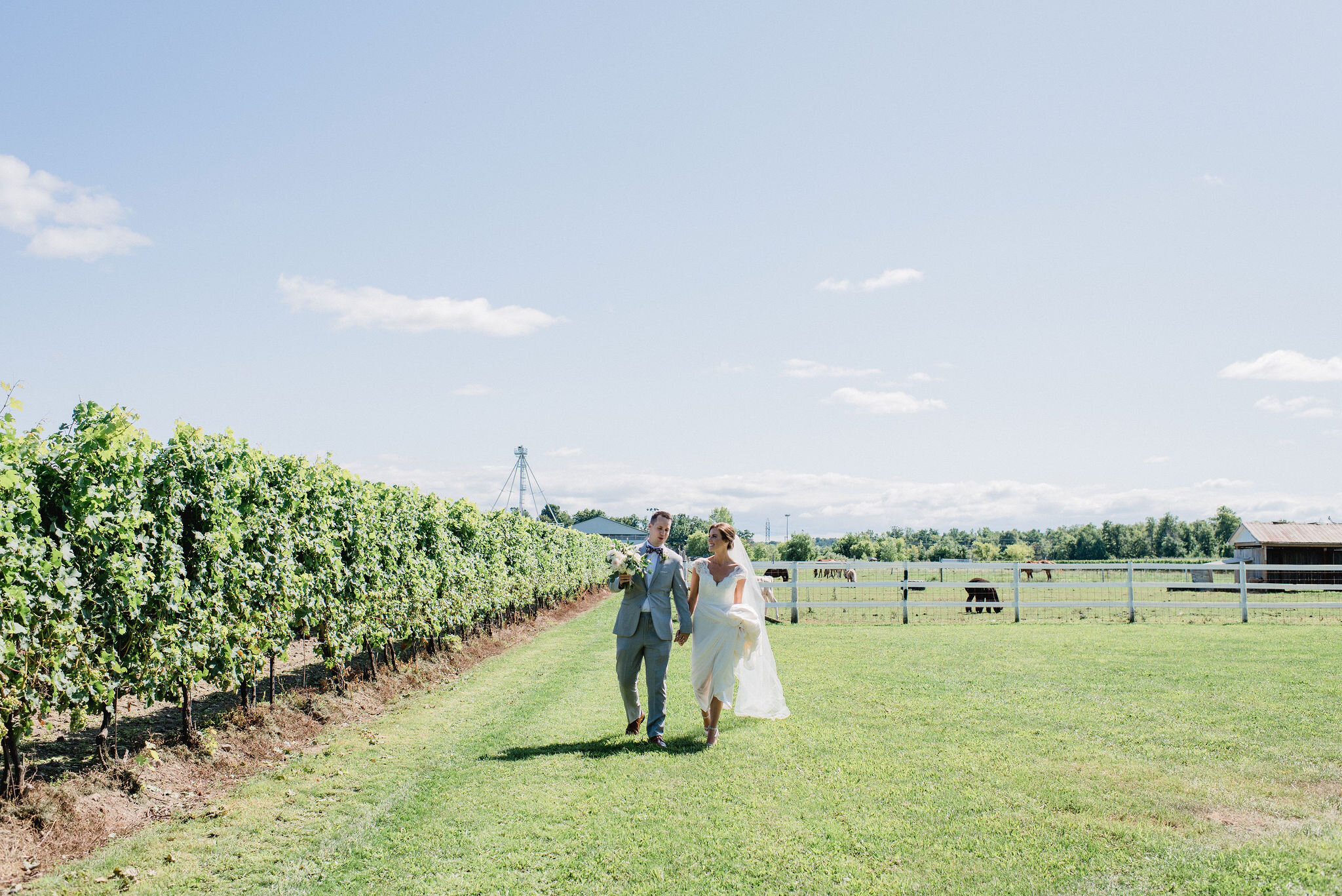 Honsberger-Estate-Wedding-Summer-Winery-Vineyard-Bride-Niagara-on-the-Lake-photos-by-Jacqueline-James-Photography-0040.JPG