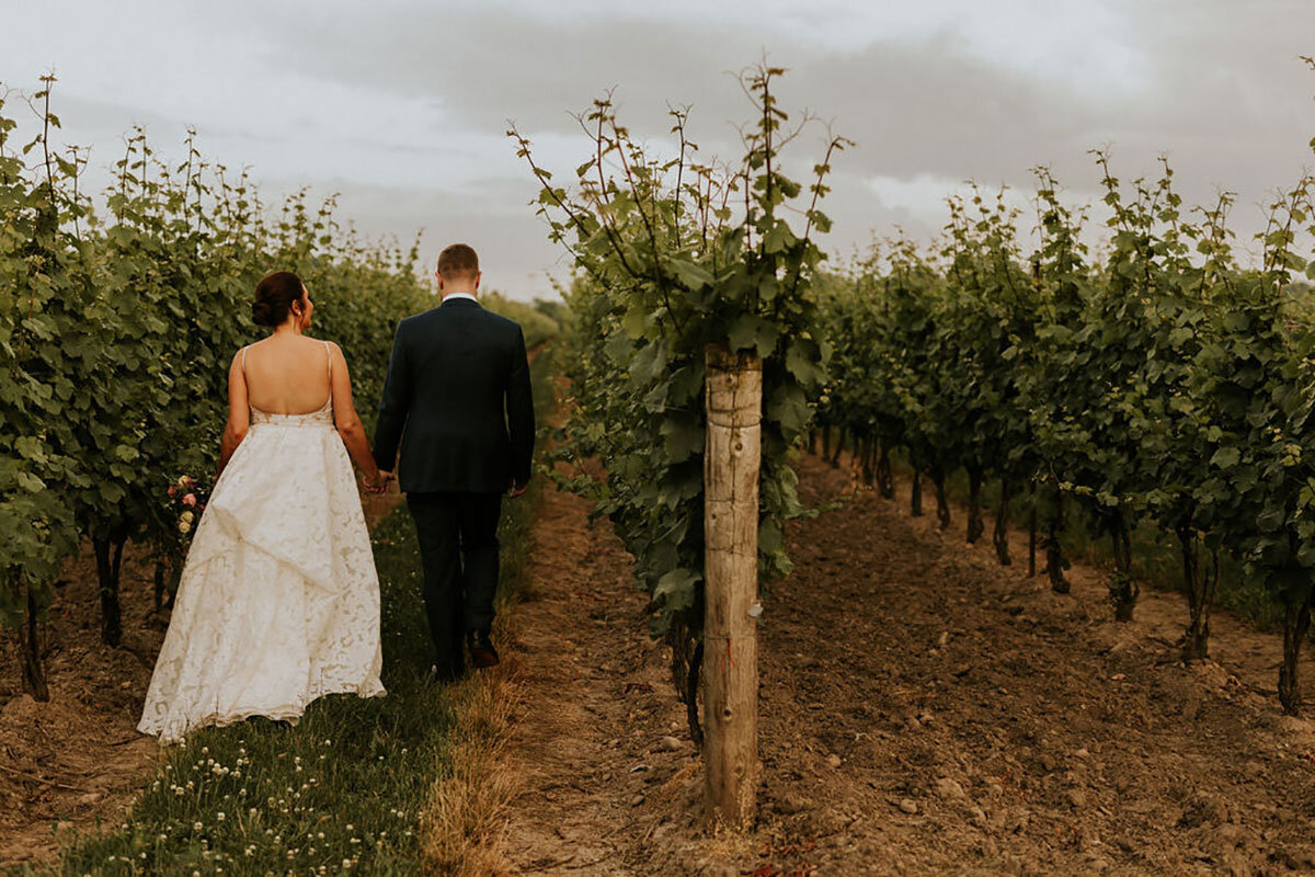 Honsberger-Estate-Wedding-Summer-Winery-Vineyard-Bride-Niagara-on-the-Lake-photos-by-Amos-Photography-0056.jpg