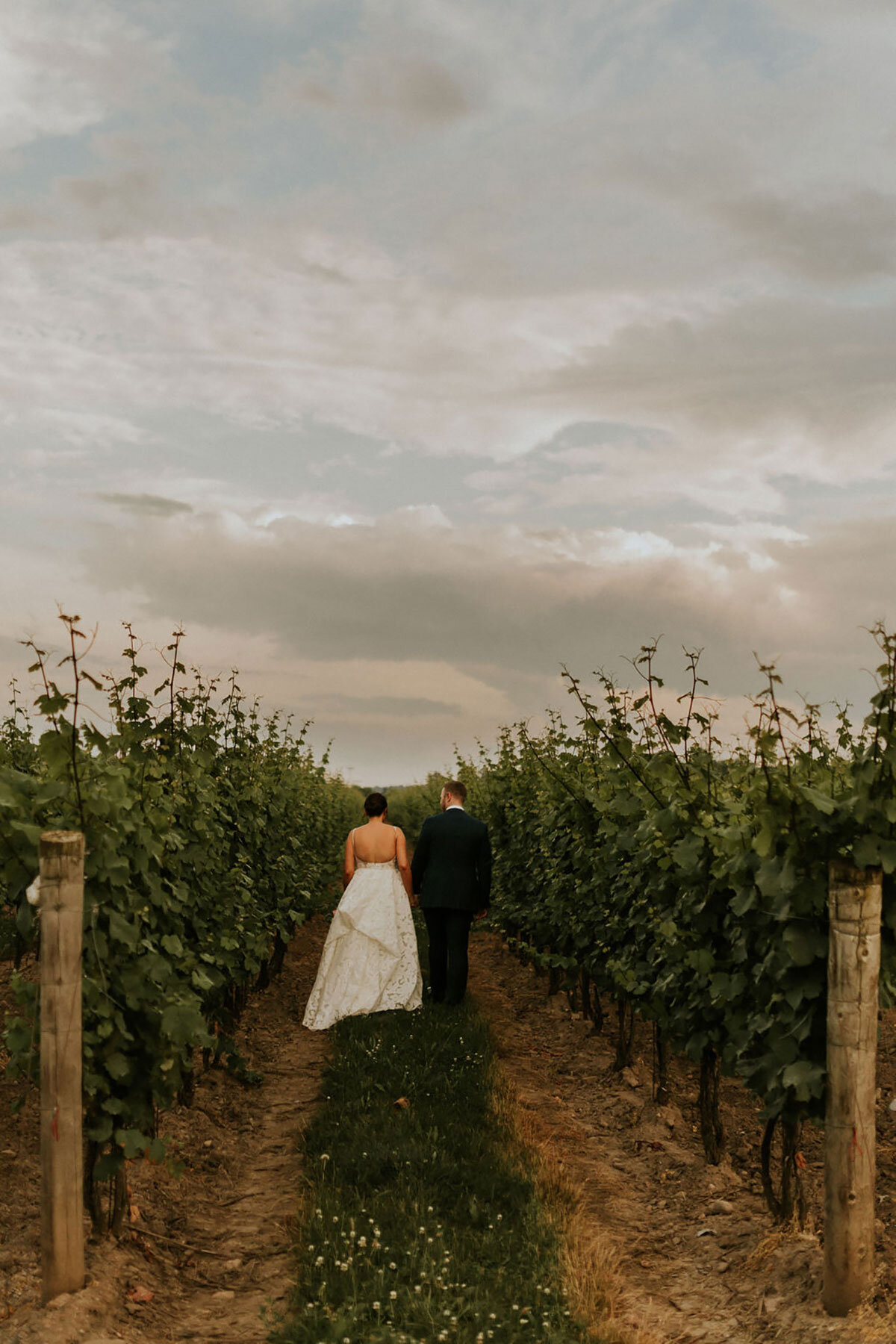 Honsberger-Estate-Wedding-Summer-Winery-Vineyard-Bride-Niagara-on-the-Lake-photos-by-Amos-Photography-0057.jpg