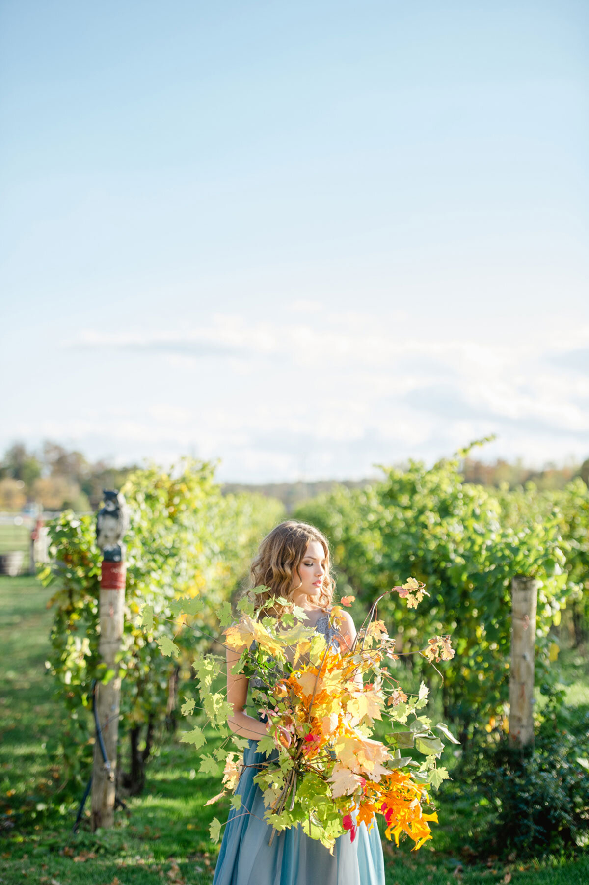 Honsberger-Estate-Winery-Fall-Editorialvineyard-Bride-photo-by-Krista-Fox-Photography-024.jpg