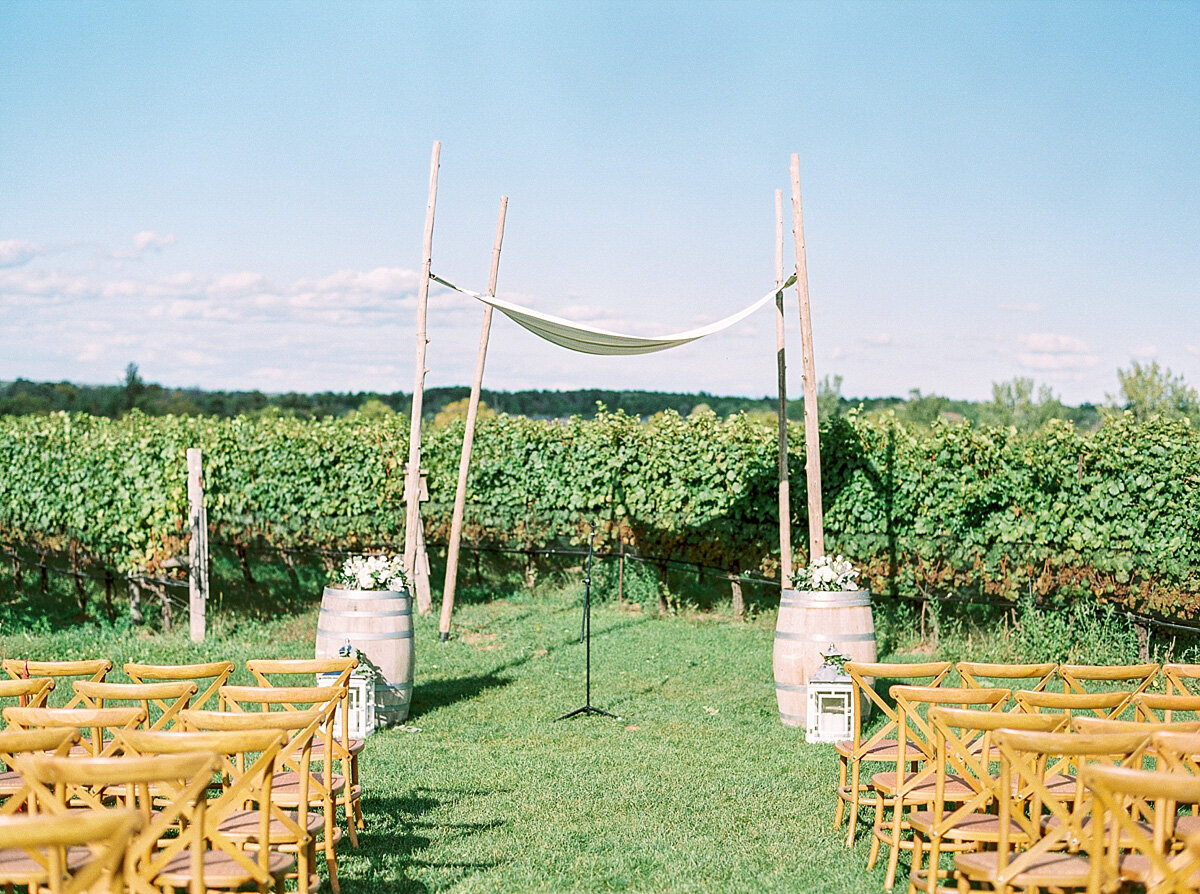 photographs-by-caileigh-langford-vineyard-bride-swish-list-ravine-vineyard-st-davids-wedding-51.jpg