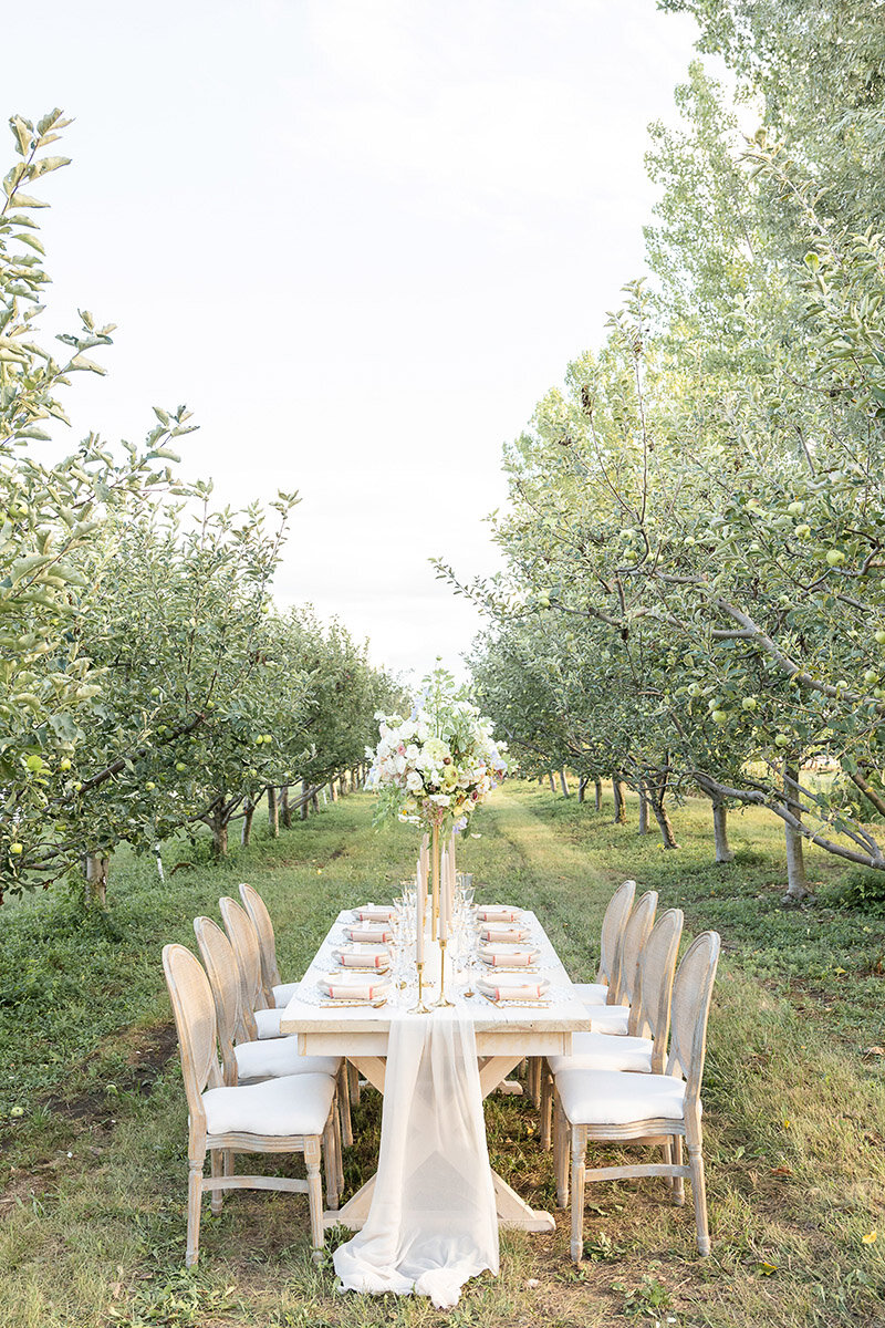 dylan-and-sandra-photography-vineyard-bride-swish-list-kurtz-orchards-niagara-on-the-lake-wedding-editorial-36.jpg