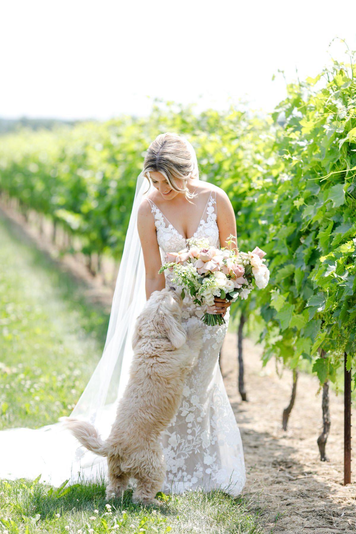 Honsberger_Estate_Winery_Wedding_Vineyard_Bride_The_Swish_List-Photography-by-Philosophy-Studios-0032.JPG