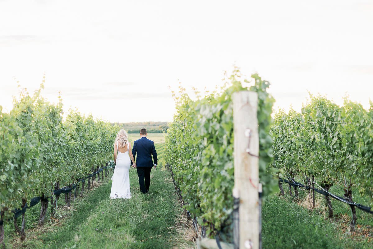 Ravine_Vineyard_Estate_Winery_Wedding_Vineyard_Bride_The_Swish_List-Photography-by-Daniel_Ricci_Weddings-0066.JPG