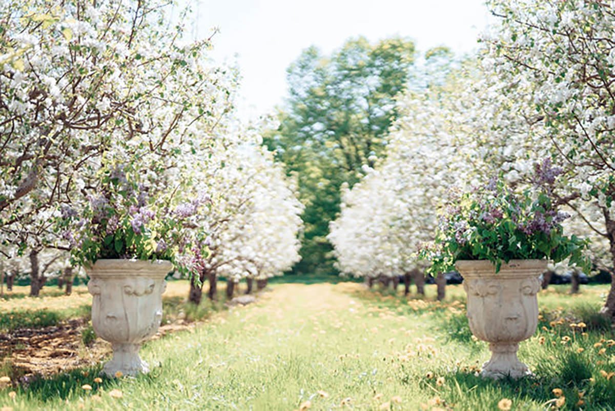 Albion-Orchard-Editorial-Wedding-Vineyard-Bride_photos-by-Lisa-Vigliotta-Photography-0016.jpg