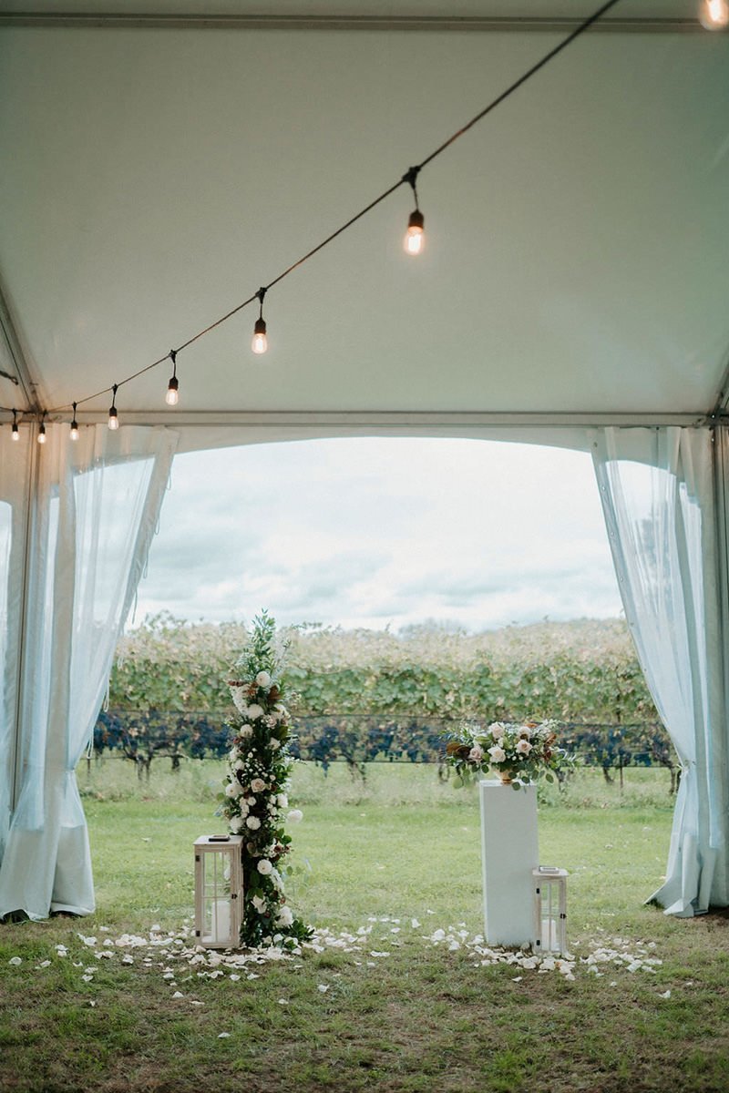 Ravine-Vineyard-Estate-Winery-Wedding-Vineyard-Bride_photos-by-Lisa-Vigliotta-Photography-0040.jpg