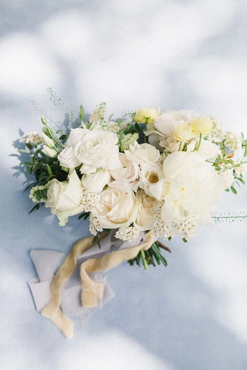 NEWSLETTER // AUGUST 2023