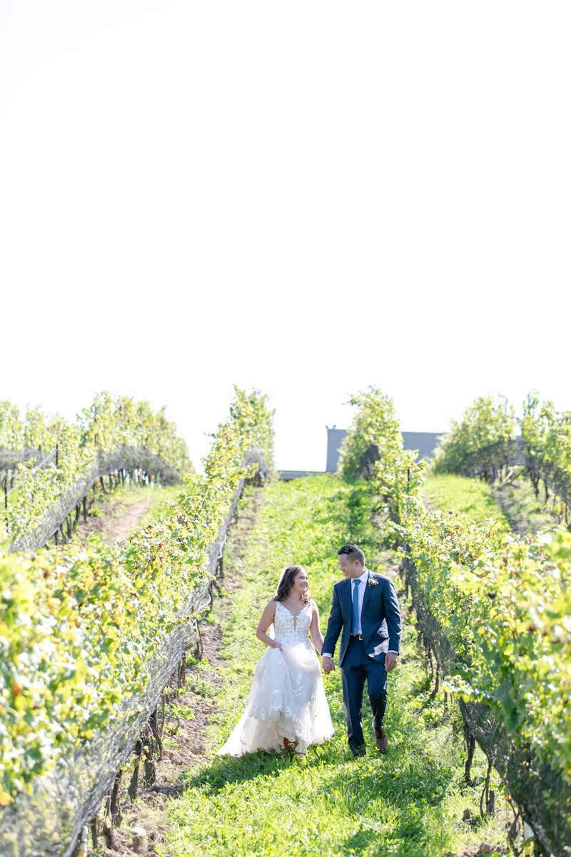 Ravine-Vineyard-Wedding-Philosophy-Studios-Vineyard-Bride-The-Swish-List-025.JPG