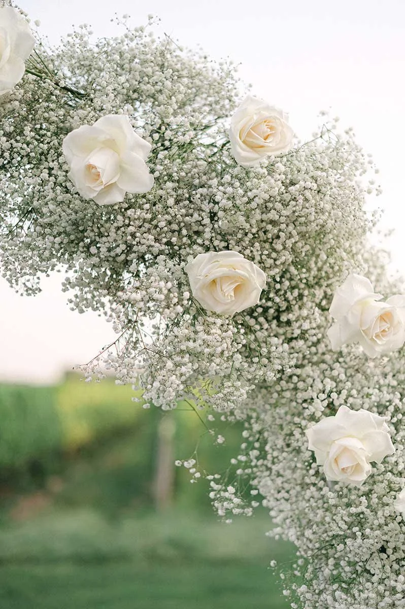 The-Woodbourne-Inn-Stratus-Vineyards-Wedding-Vineyard-Bride-Photography-by-Alix-Gould-Photography-020.JPG