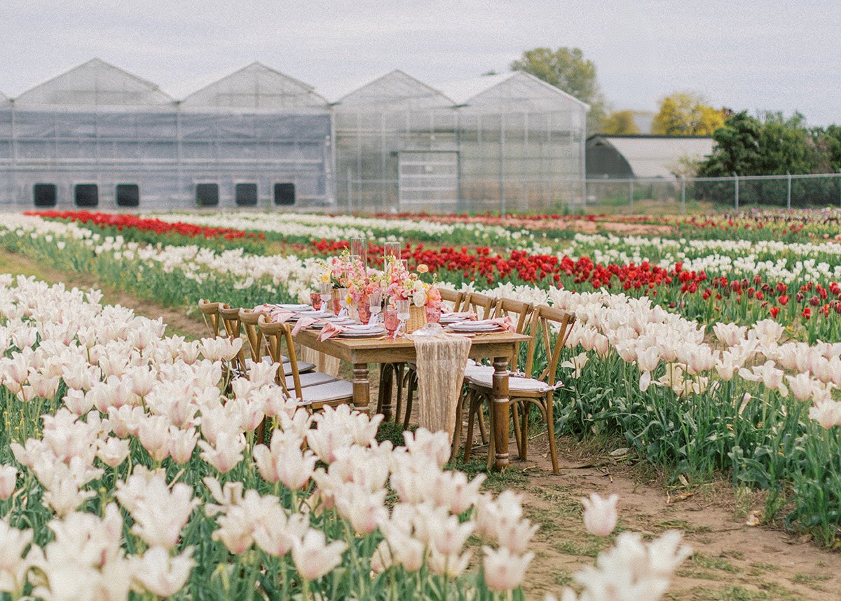Spring-Wedding-Inspiration-Toronto-Niagara-Florist-Roses-and-Twine-Floral-The-Swish-List-Vineyard-Bride-018.JPG