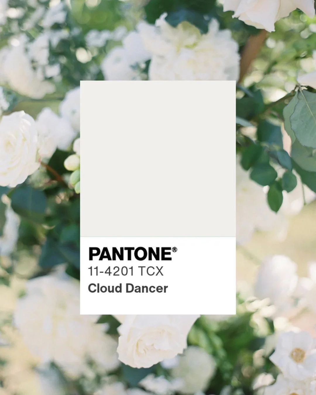 Say hello to Pantone&rsquo;s Color of the Year 2026: Cloud Dancer &mdash; soft, airy, and effortlessly elegant. ⁠
⁠
This fresh, light shade is perfect for weddings, from romantic bouquets to chic stationery and dreamy tablescapes. It works beautifull
