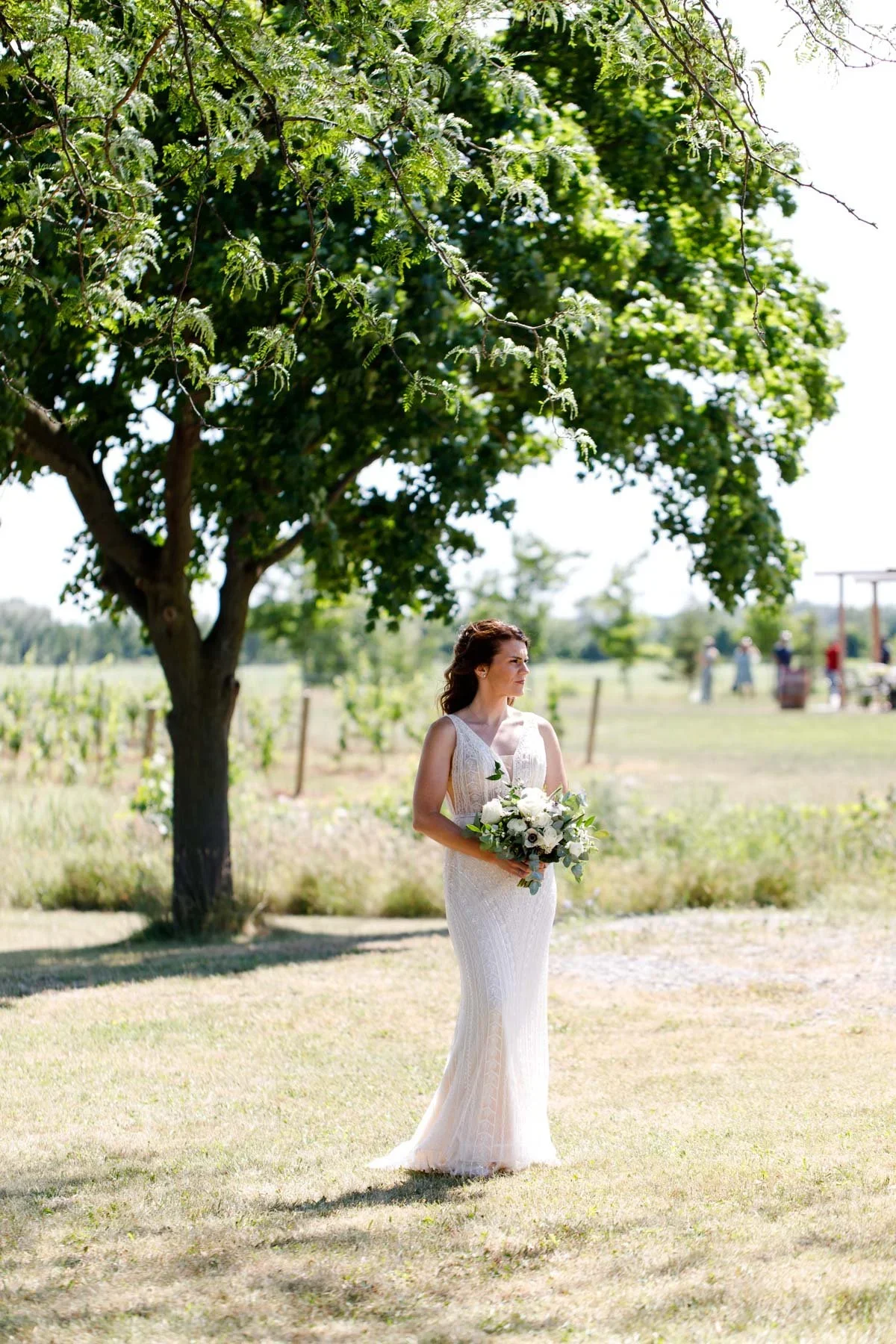 The-Hare-Wine-Co-Niagara-on-the-Lake-Wedding-Venue-winery-Vineyard-Bride-photo-by-Philosophy-Studios-0019.JPG.webp