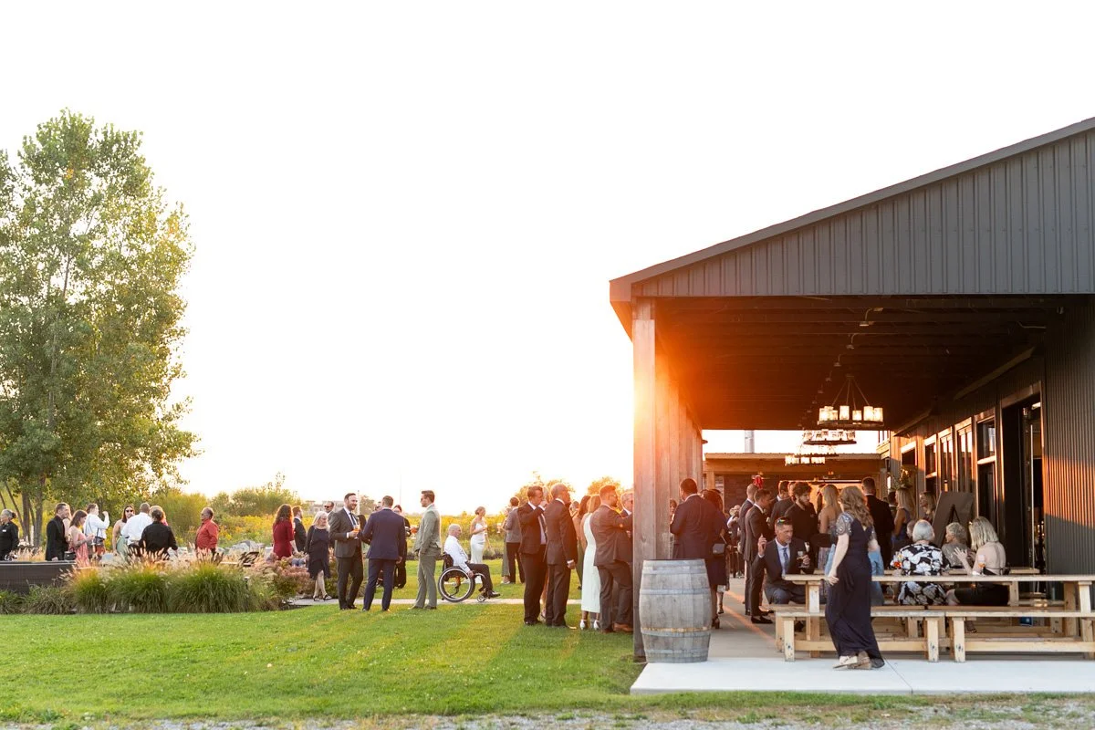 wedding guests mingling at golden hour outside a winery