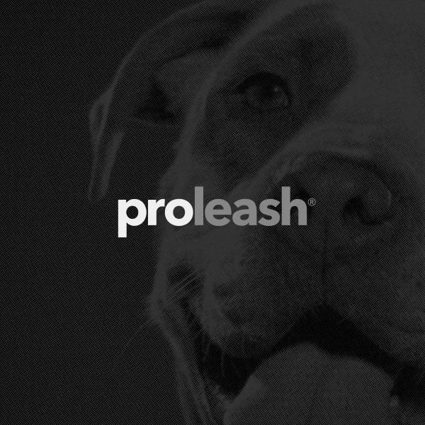 Pro-Leash_Thumbnail.jpg