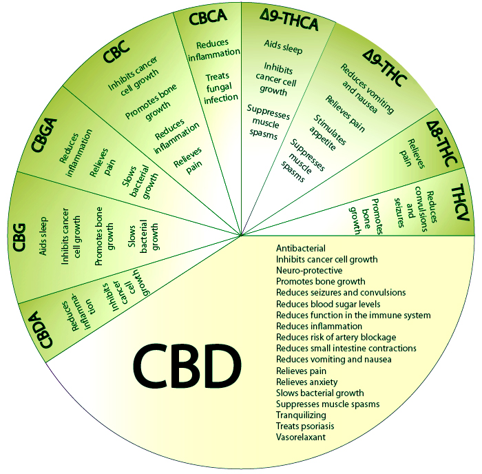 the-different-cannabinoids.jpeg