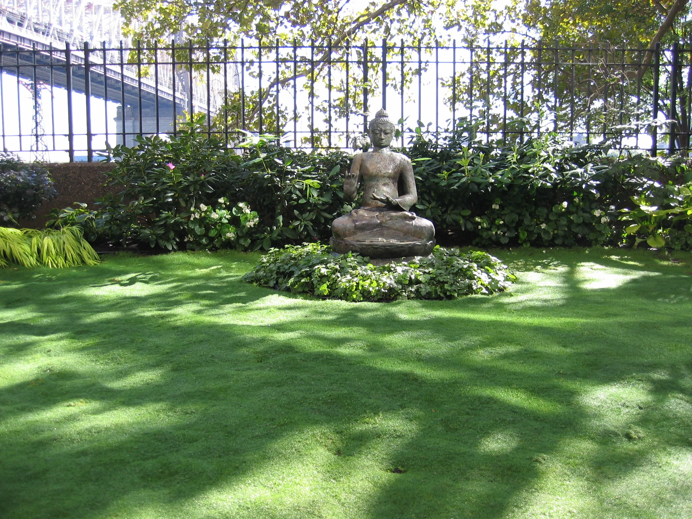 Buddha.jpg