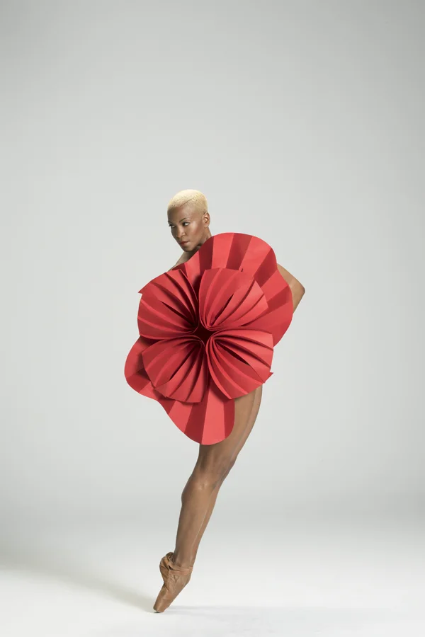 akua-02.jpg