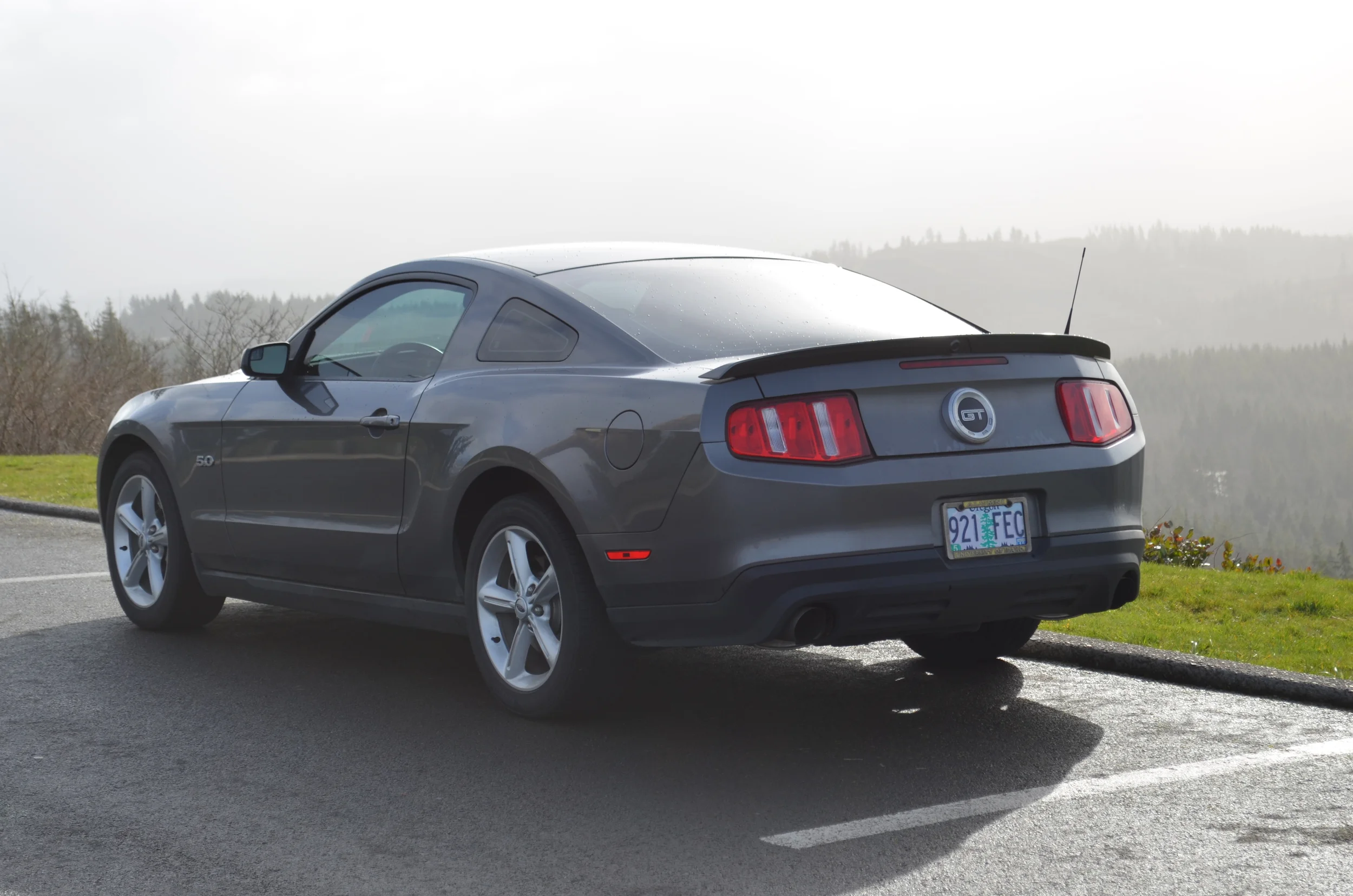 Mustang (24).JPG