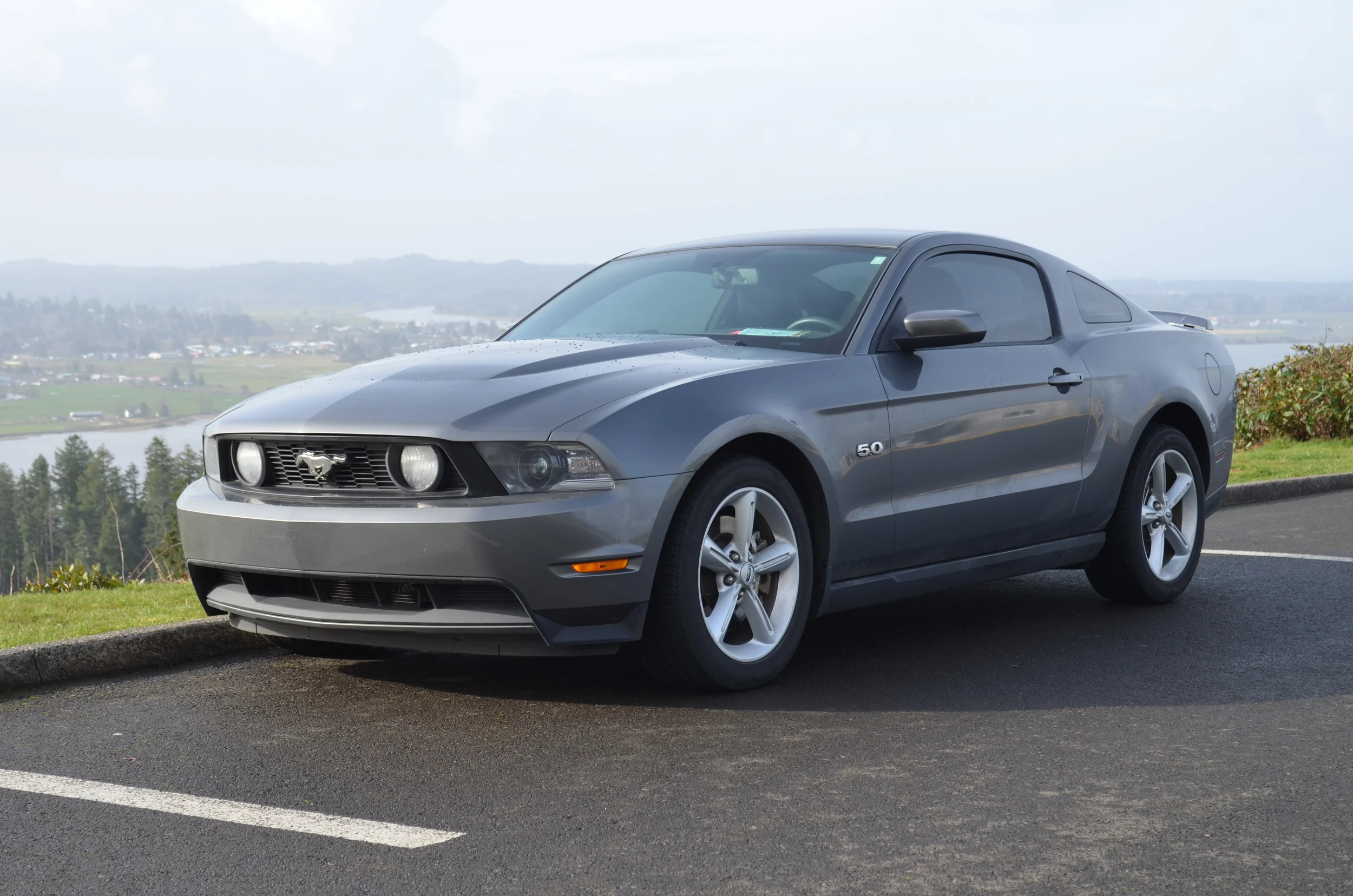 Mustang (17).JPG