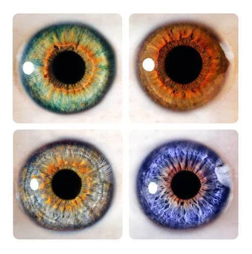 tumblr_mwj7m17OAc1qklln6o1_500.jpg