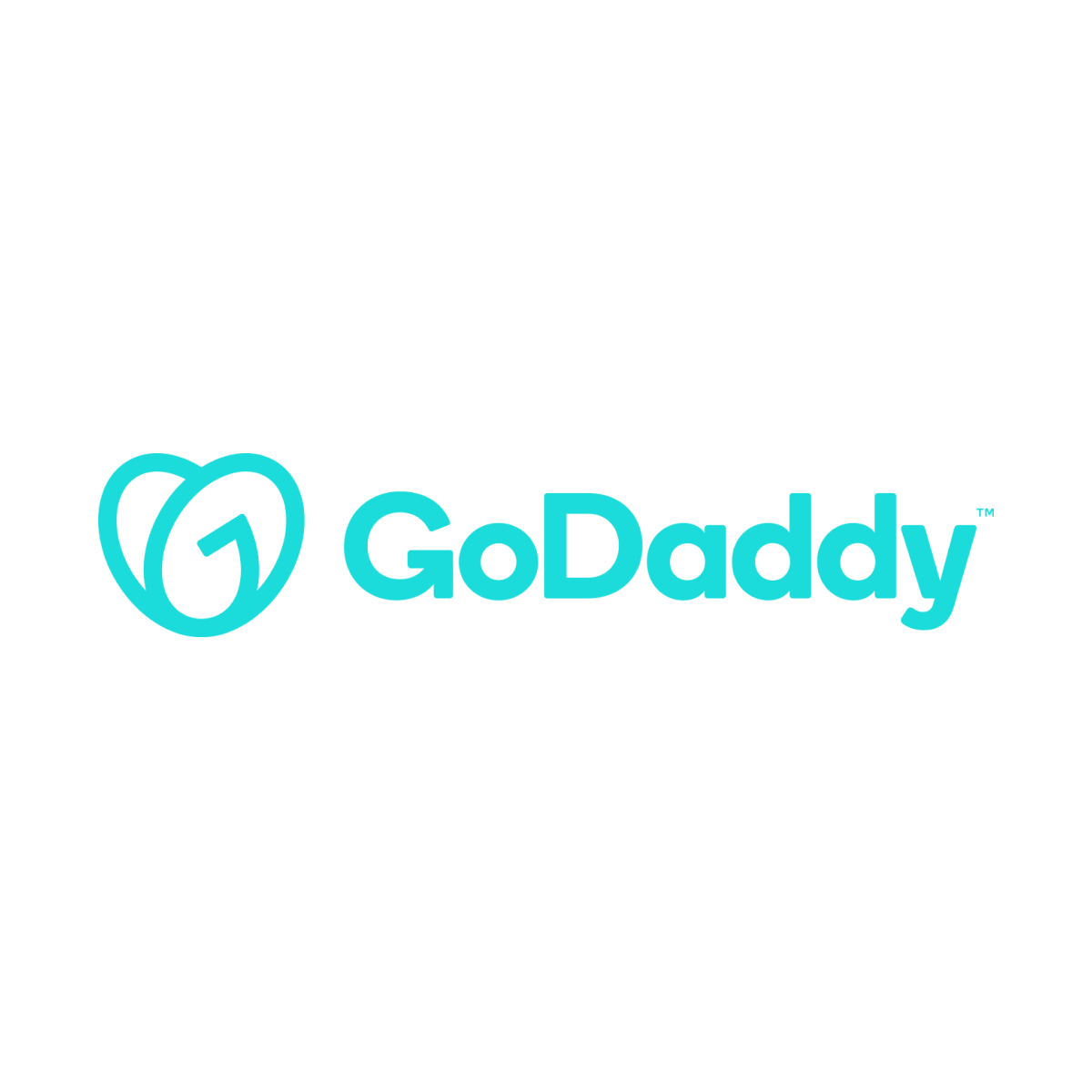 Logo GoDaddy.png