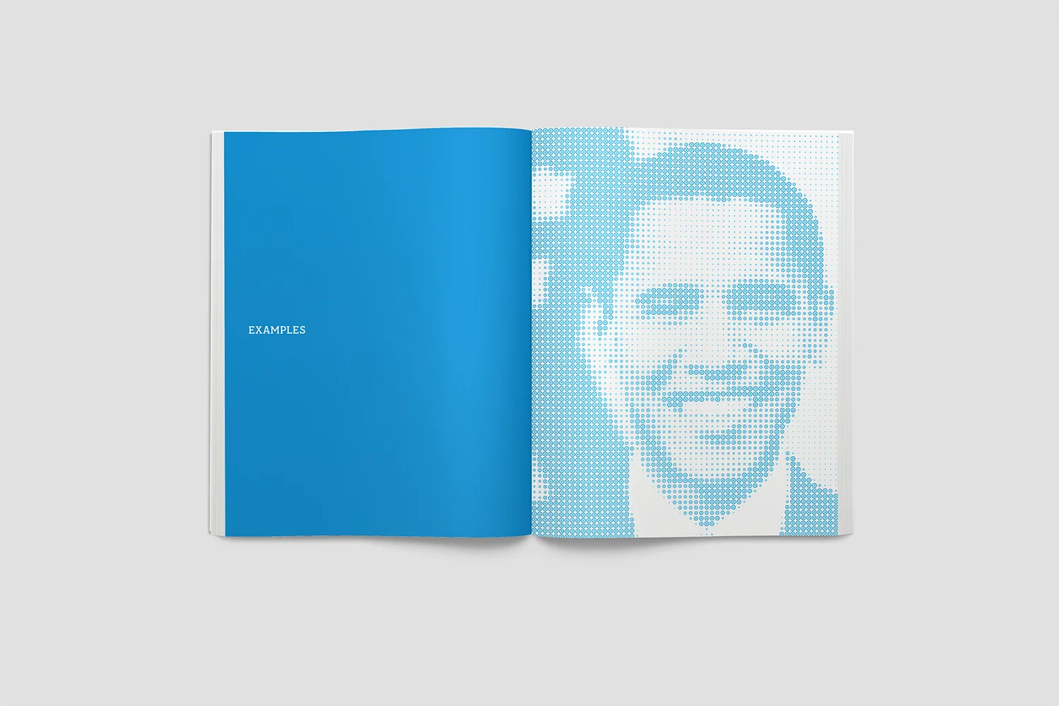 dems_book_4.jpg