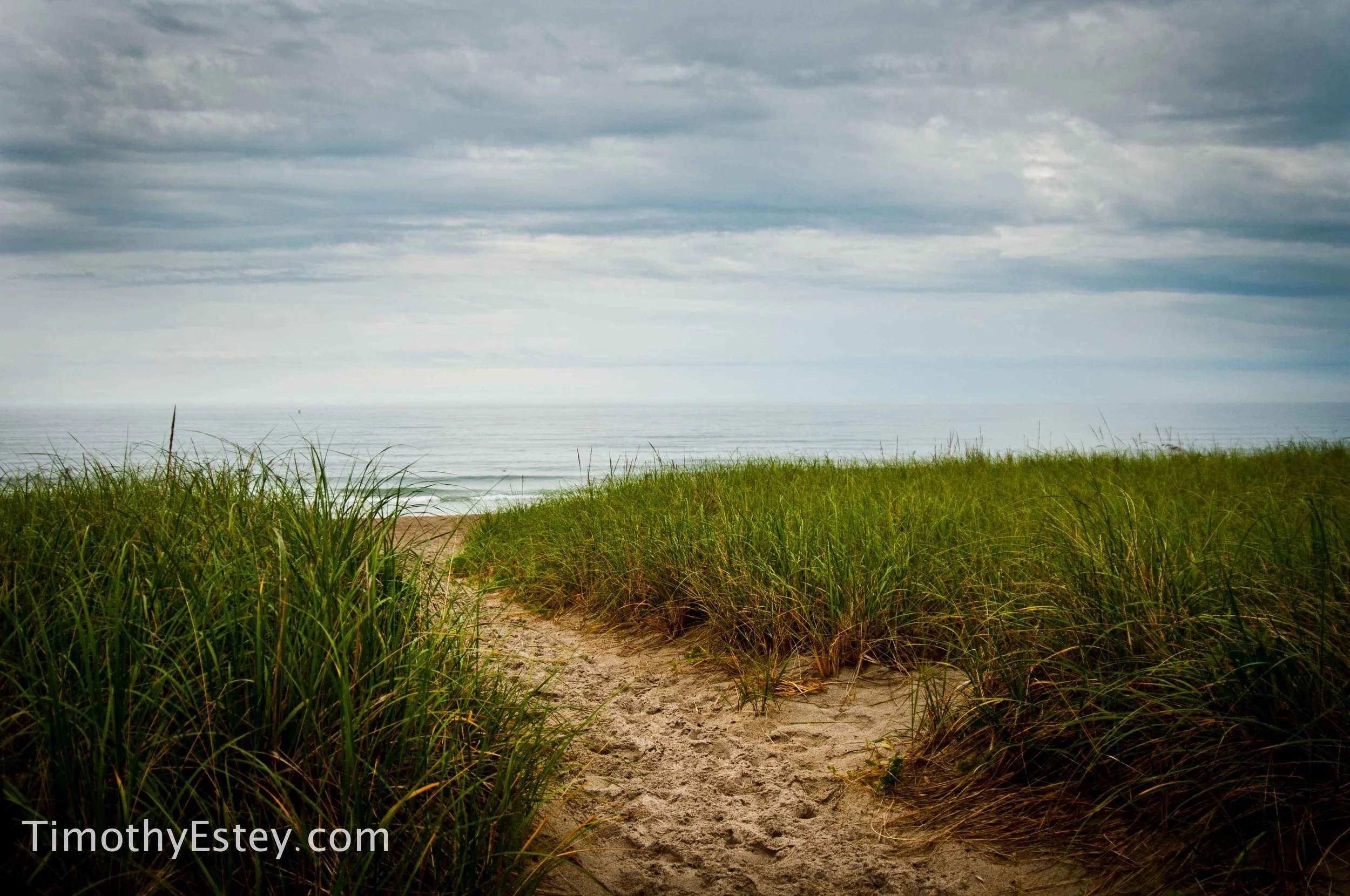 dunes-1.jpg