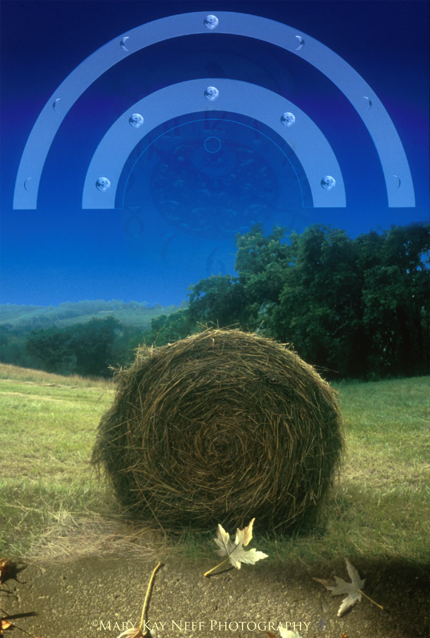 CircleOfHay.jpg