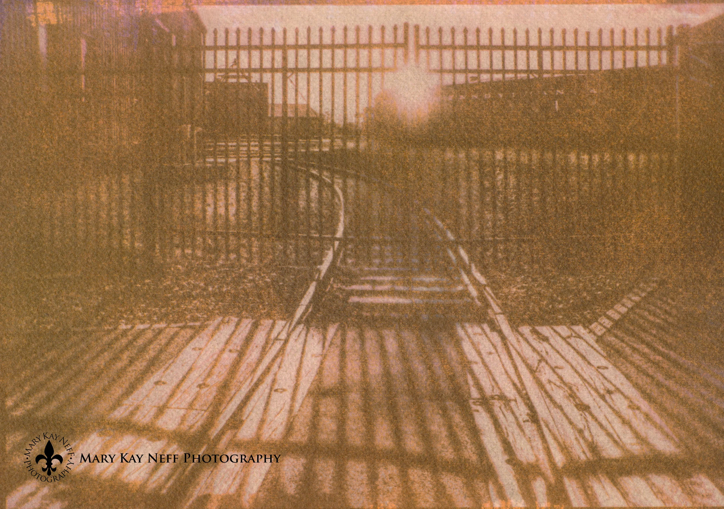 Alternative Process Photography Exhibitions