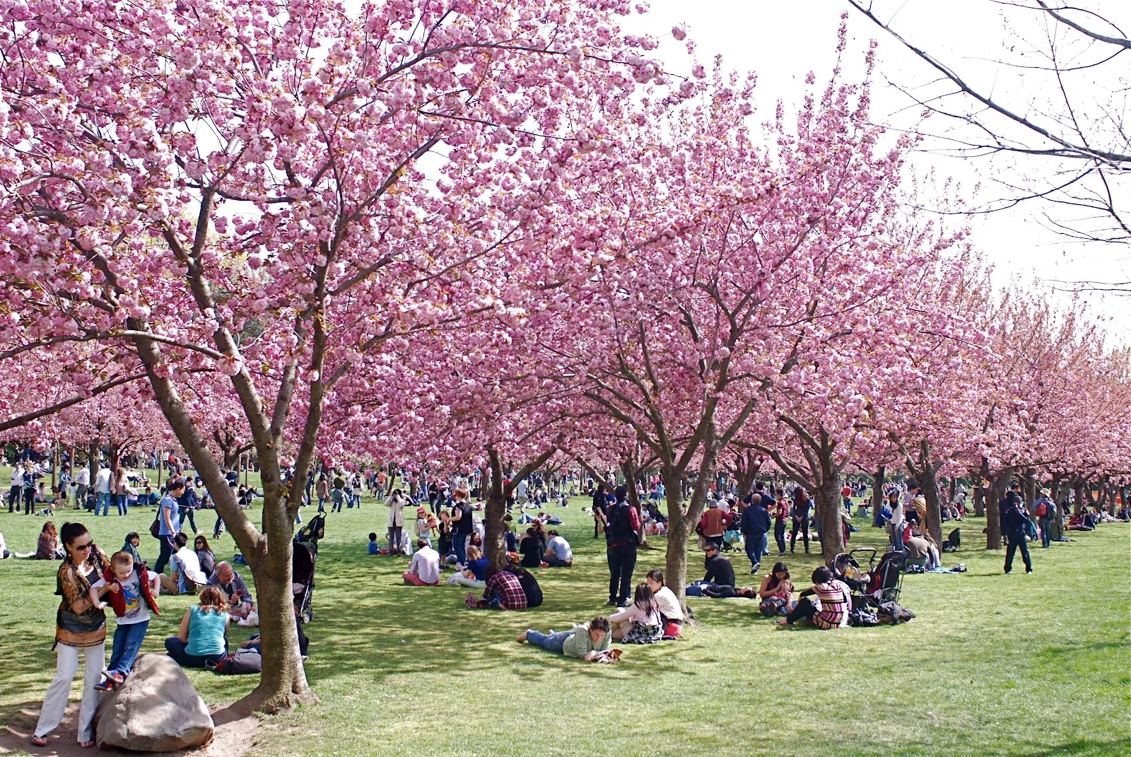 Image courtesy of The Daily NYC Event List