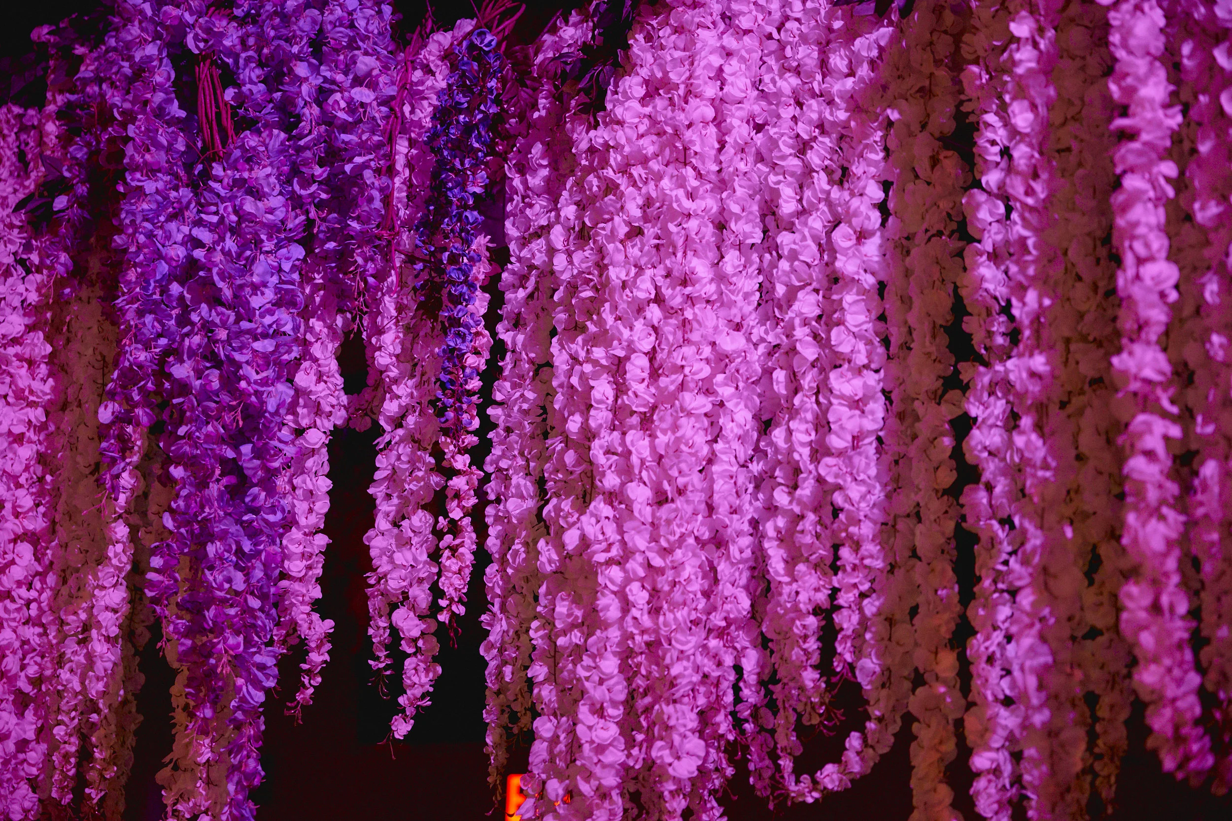 2019-05-02__SM-3886.jpg