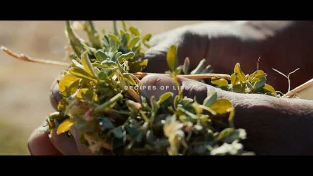 Scania - The Journey - Receitas de vida