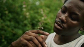 Natura - Regeneração