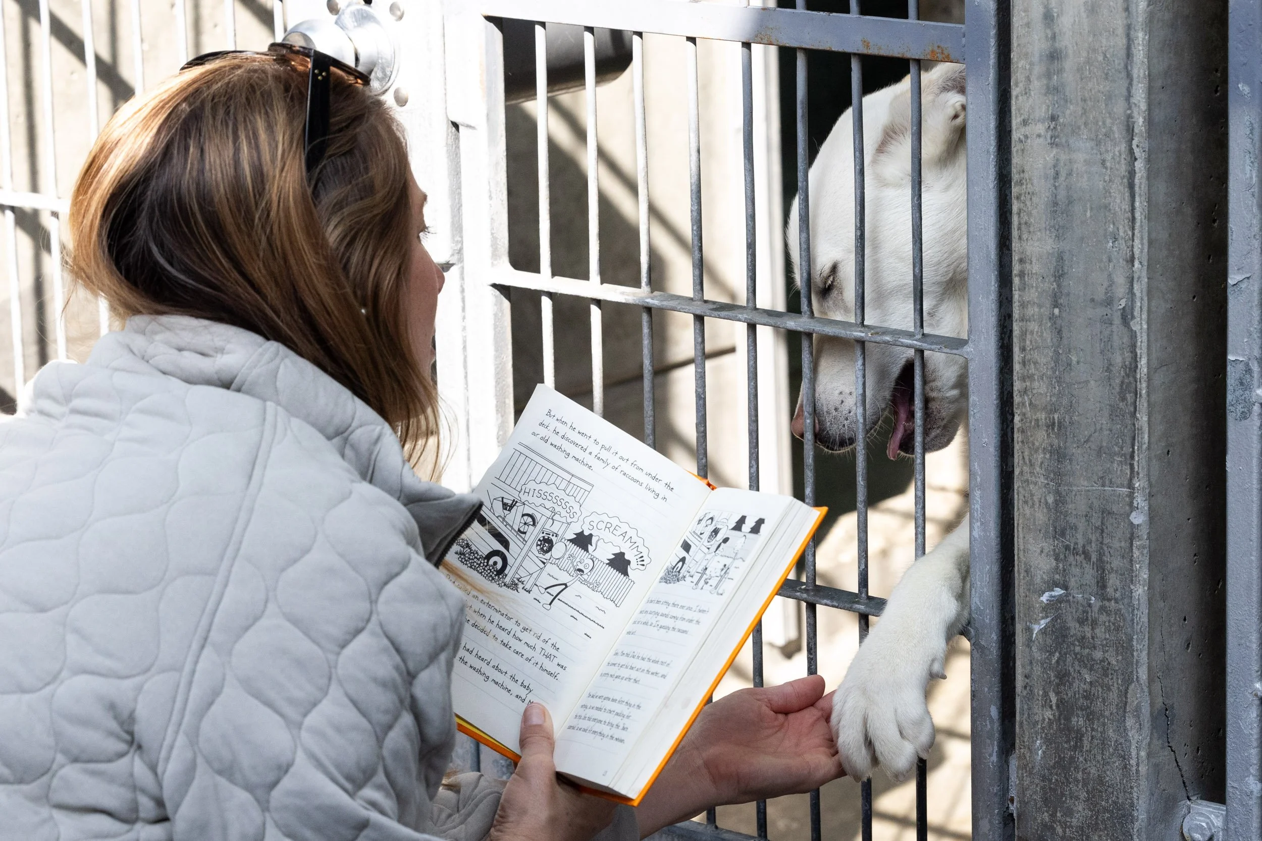 20240216-C41-F2163-ANIMAL-SHELTER-Web.jpg