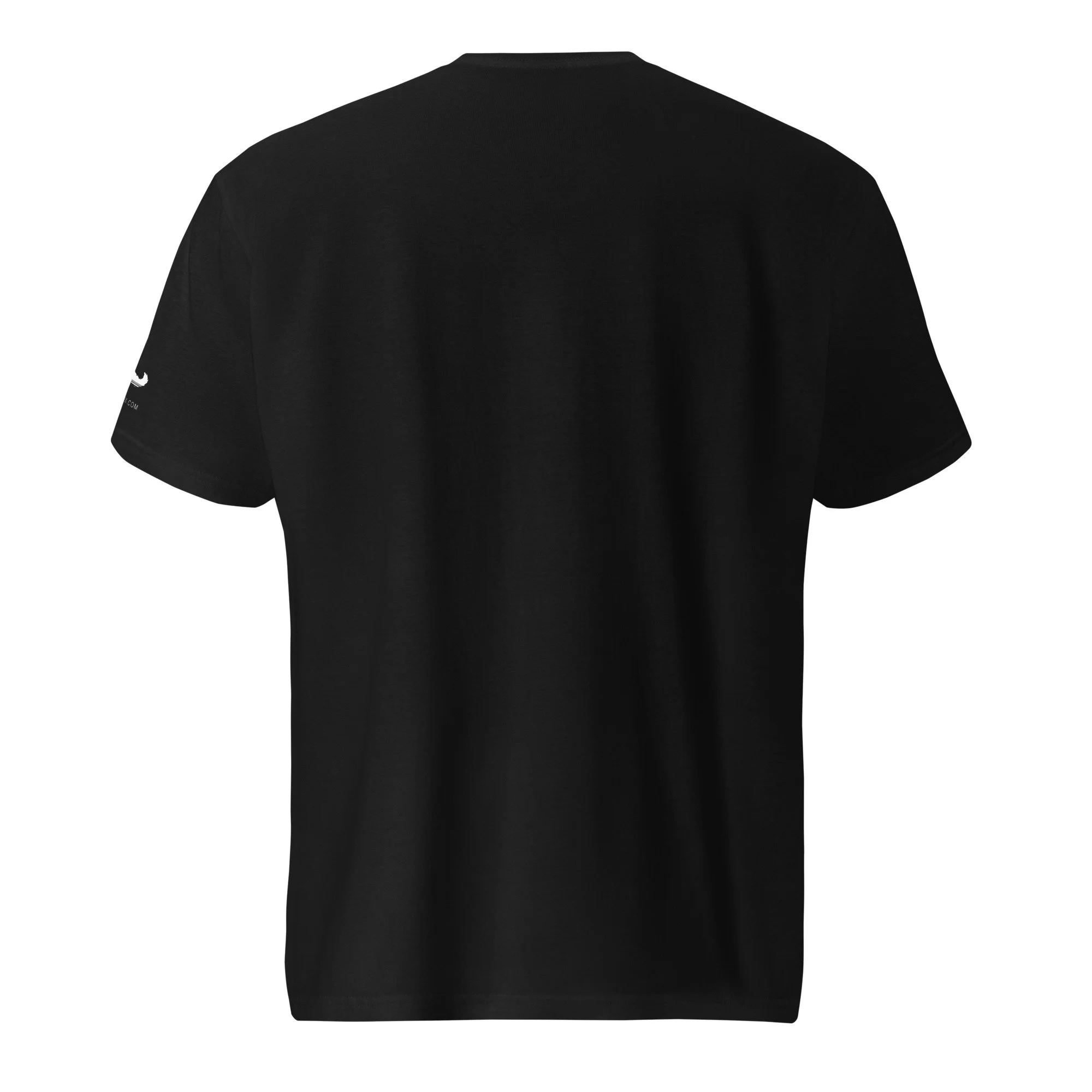 unisex-lightweight-t-shirt-black-back-6a077fcb56013.jpg