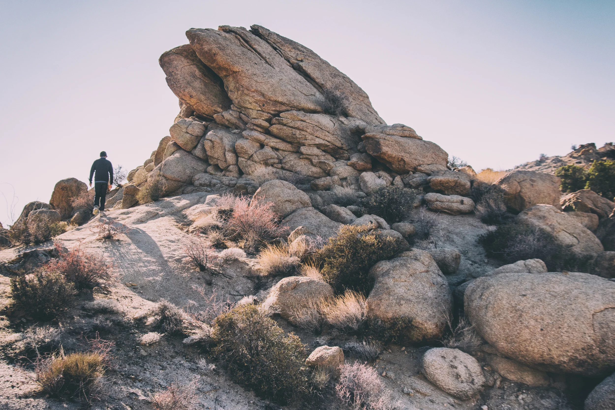 Rock formation, Joshua Tree National Park