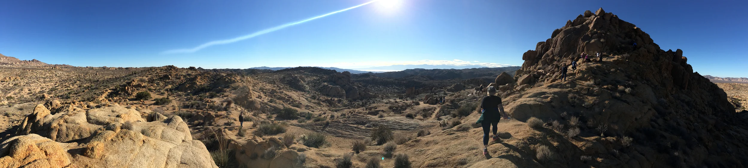 Panorama, Joshua Tree National Park