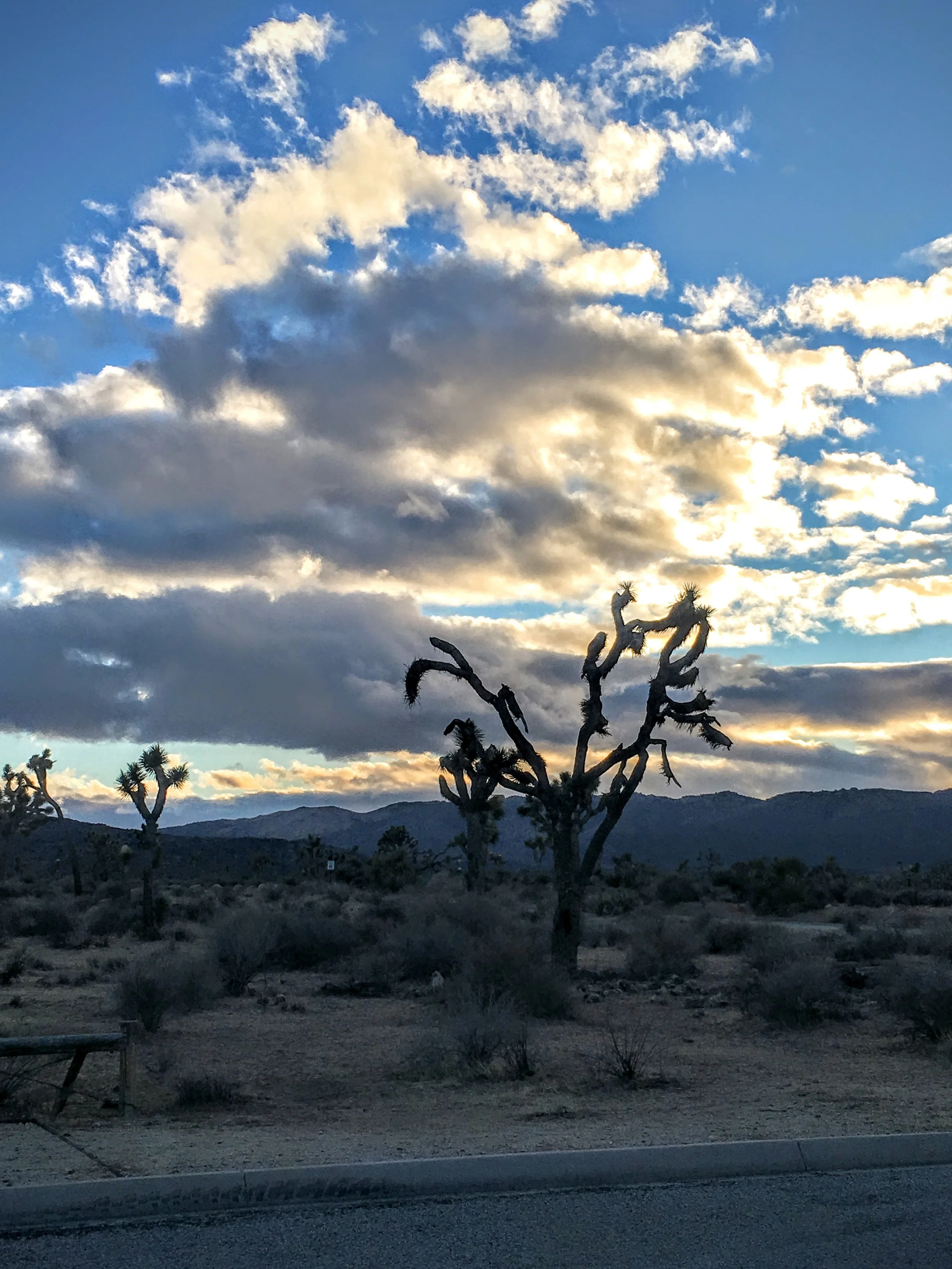 Clouds over the park, Joshua Tree National Park