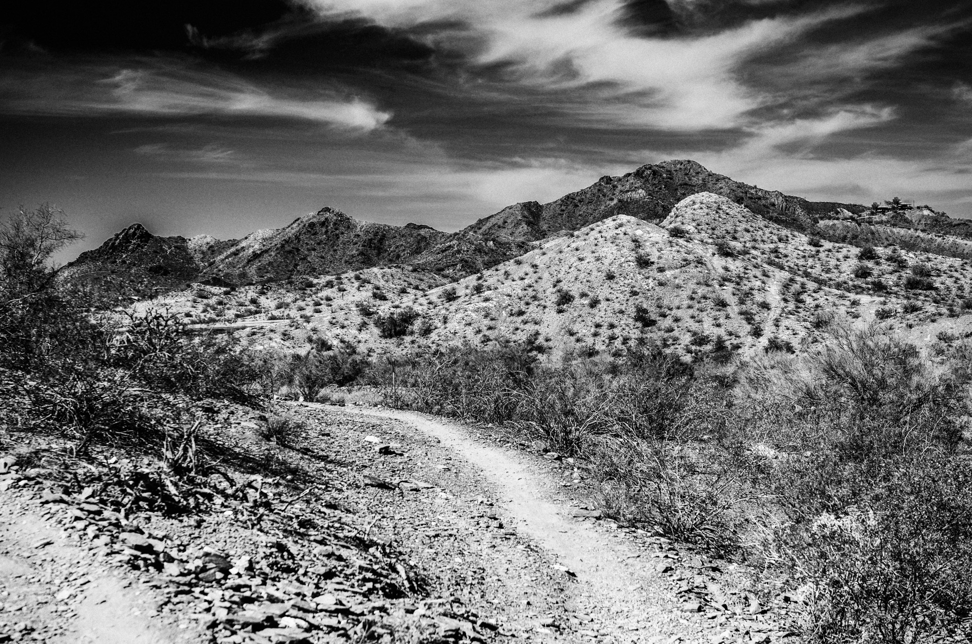 Desert Hike