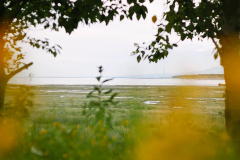 Ocean View, Anchorage, Alaska | Mallorie Owens