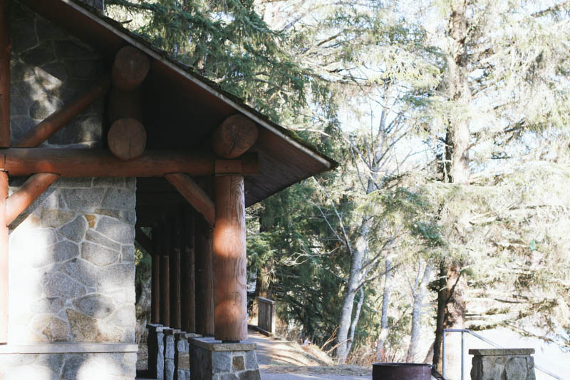 Auke Recreation Picnic Center, Juneau, Alaska | Mallorie Owens