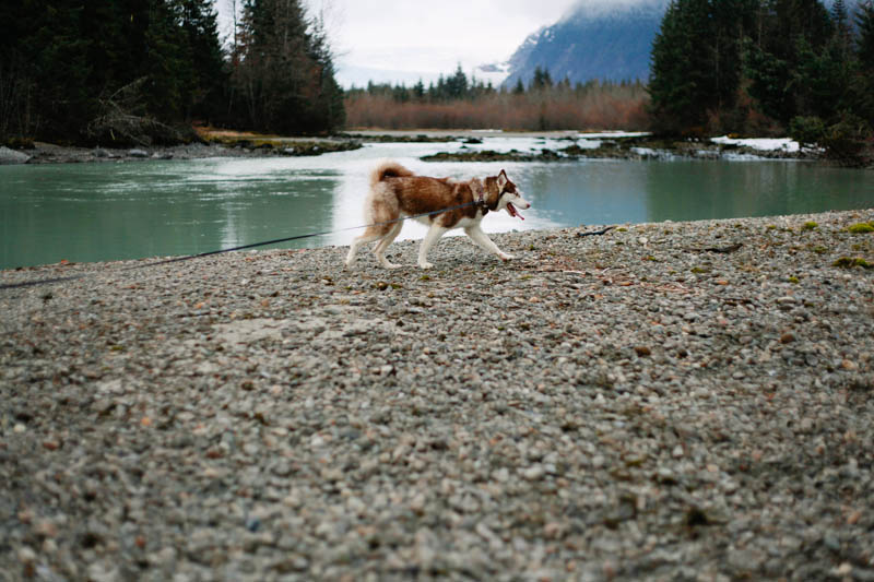 Alaska in the Spring | Mallorie Owens