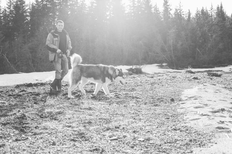 Alaskan Malamute | Mallorie Owens