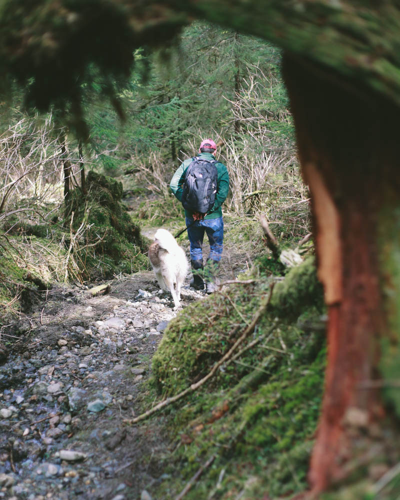 Places to Visit in Juneau, Alaska ↠ Lemon Creek Trail | Mallorie Owens