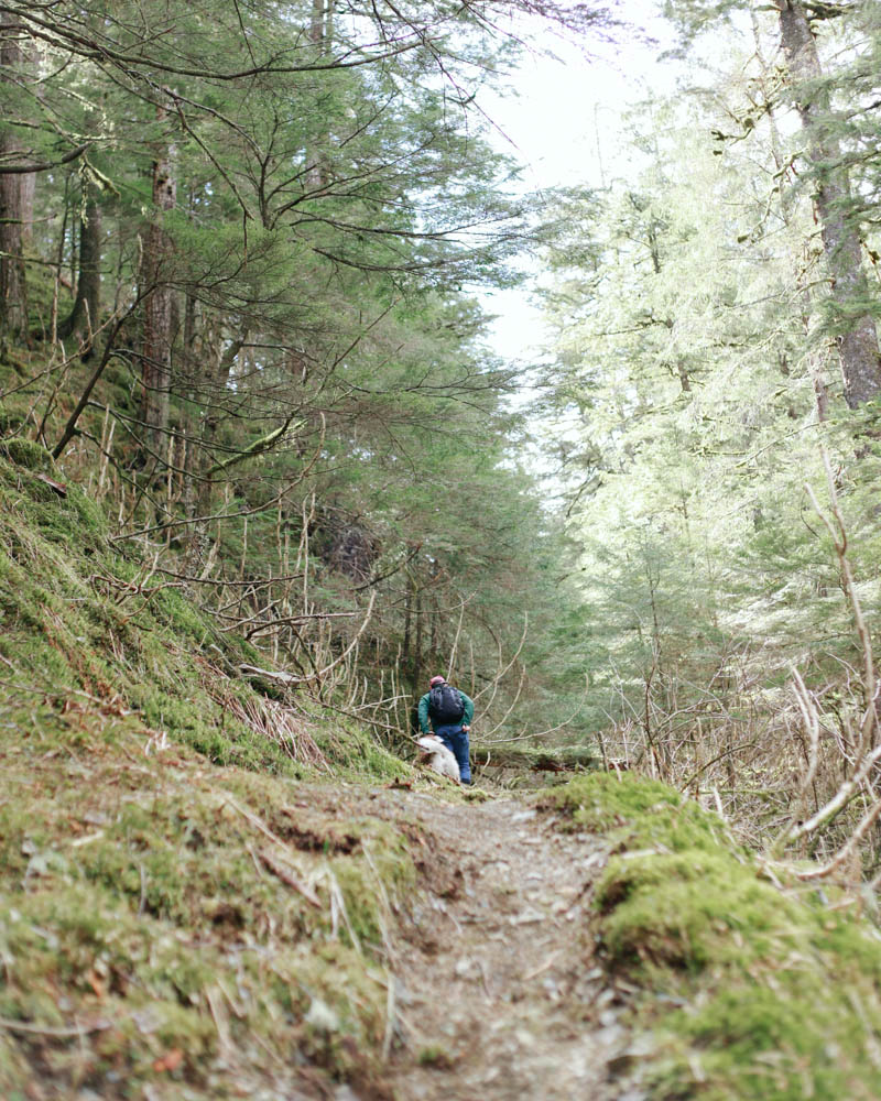 Places to Visit in Juneau, Alaska ↠ Lemon Creek Trail | Mallorie Owens