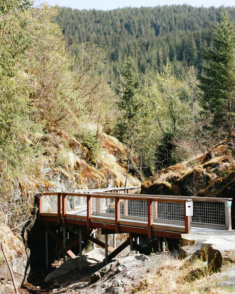 Places to Visit in Juneau, Alaska ↠  Juneau Hiking | Nugget Falls Trail | Mallorie Owens